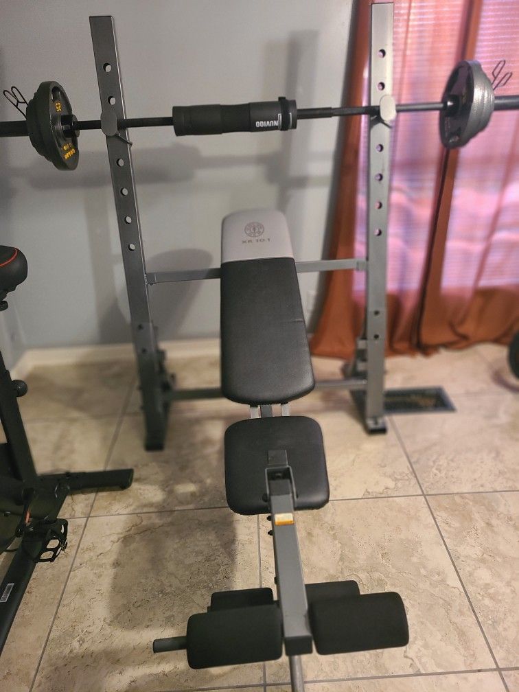 Gold's Gym Weight Bench 