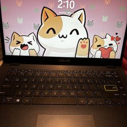 Asus Laptop L410MA