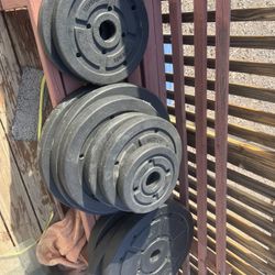 Full Home Gym Set Up 