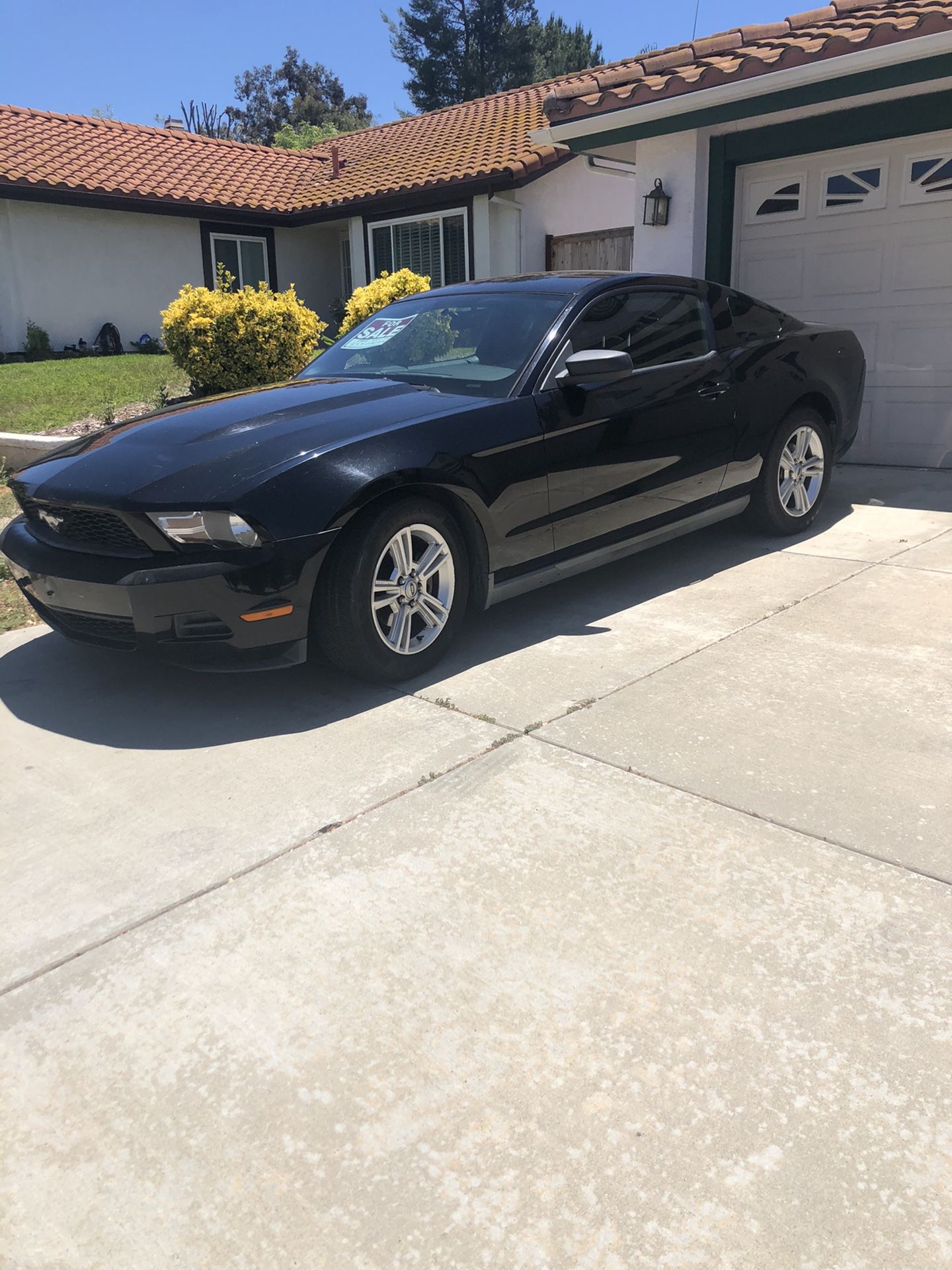 2010 Ford Mustang