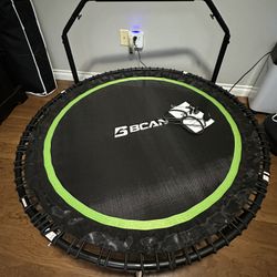 Rebounder/trampoline 