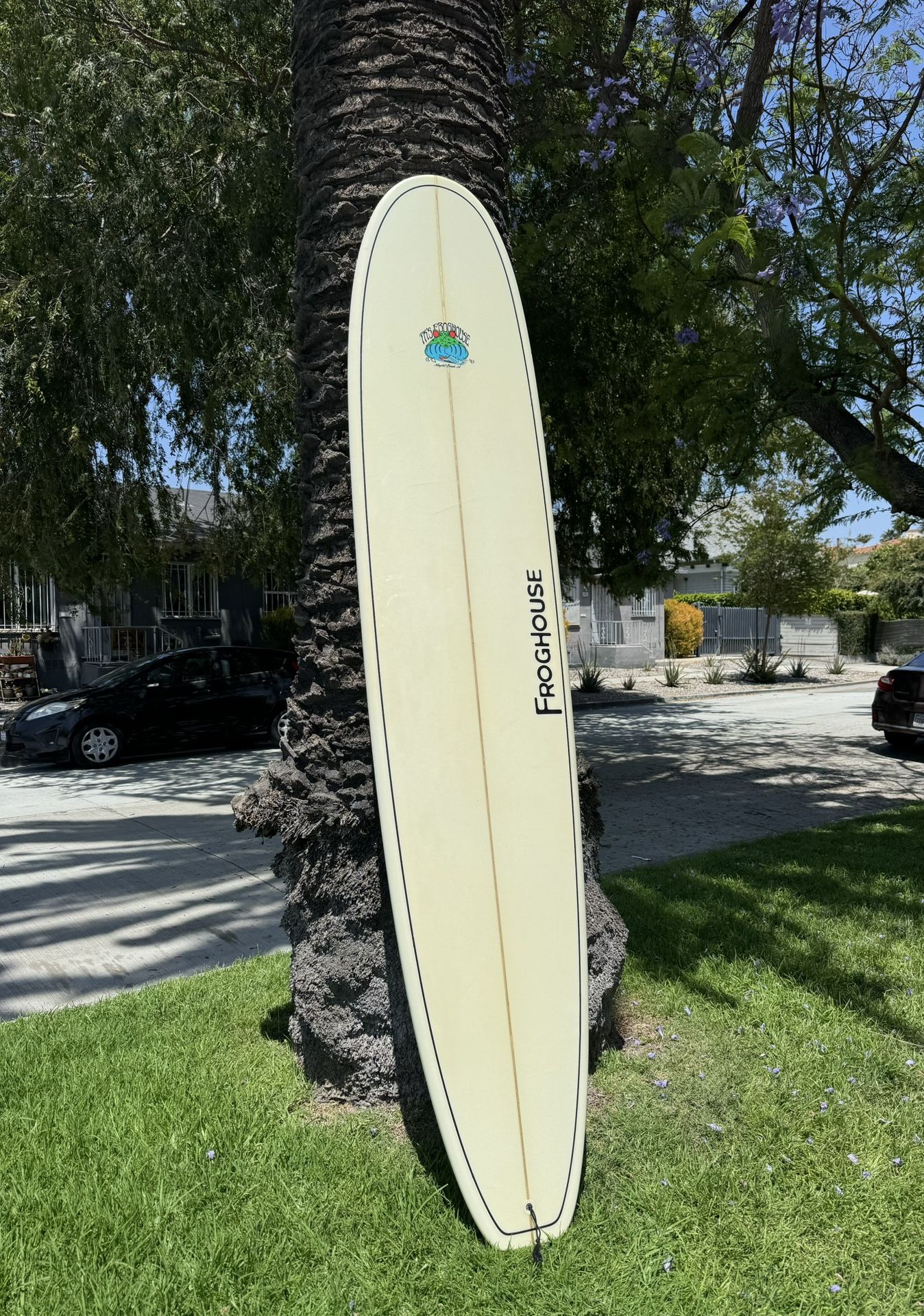 9’2” Froghouse Longboard Surfboard