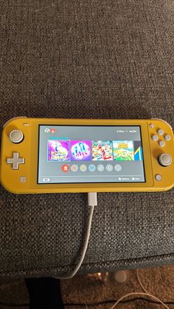 Switch lite