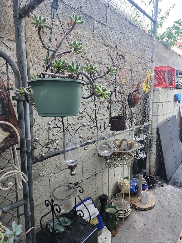 Everything For Sale Different Pots And Plant Stands Different Plants