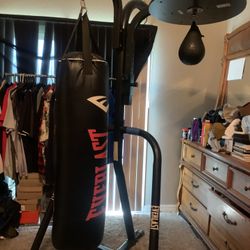 Everlast Heavy bag W/ new speed Bag / Ball 