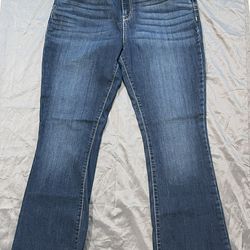 Denizen Levi’s Pants