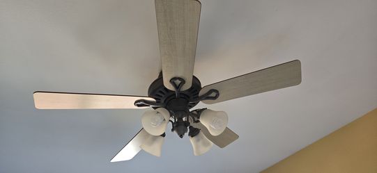 Ceiling fan with light
