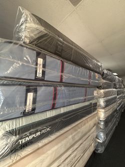 Queen Size Sealy Mattresses