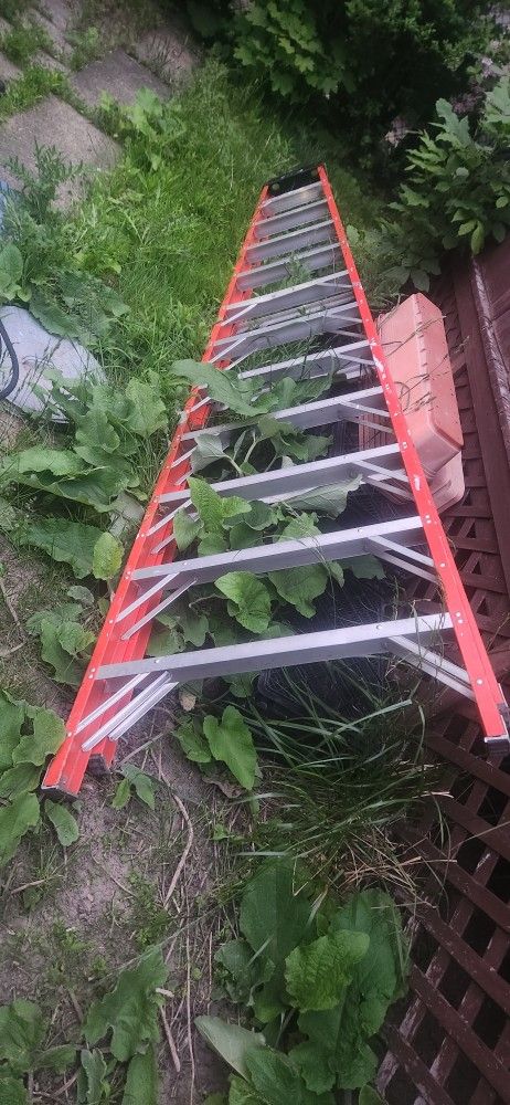 12ft Werner step ladder