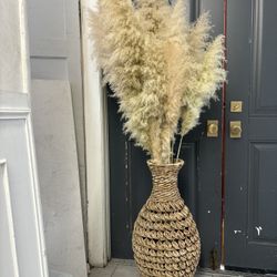 Pampas