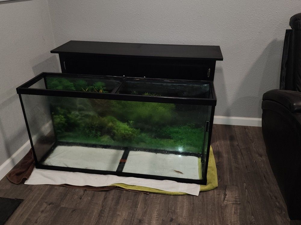 60 Gallon Aquarium (No Fish)