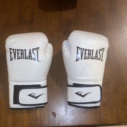 16 oz everlast boxing gloves