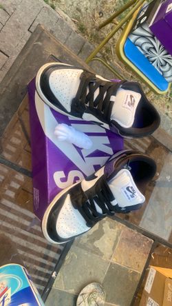 Nike SB court Purple