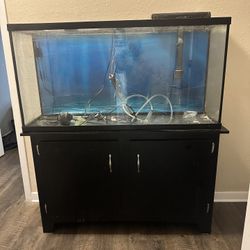 Aquarium For P/U ONLY