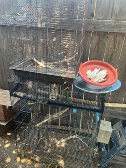 Cockatiel cage