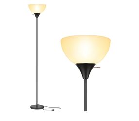 Coucrek Floor Lamp