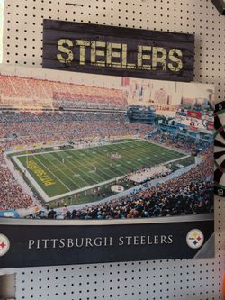Pittsburgh Steelers Stadium Photo Print