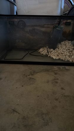 Fish tank