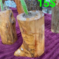 Natural Handmade Wooden Stump Planters With Cactus 