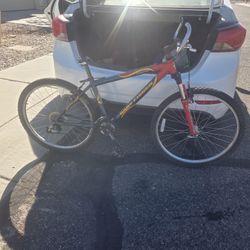Gary Fisher Bike Cleaning Out The Garage