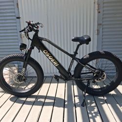 E BIKE