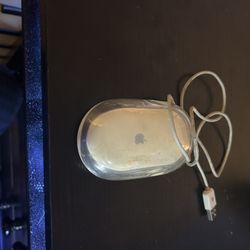 Mouse Apple 