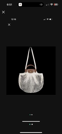 Longchamp Bag
