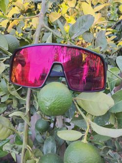 Oakley glasses