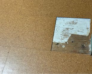 Cork floor tiles 240sf