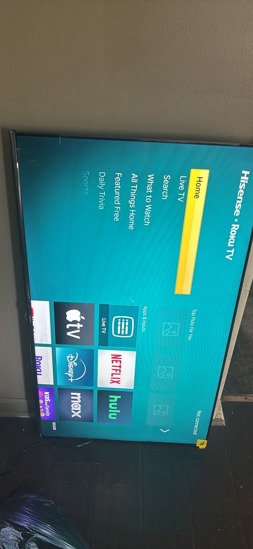 55in Hisense Roku