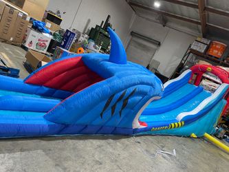 Double Shark Water Slide