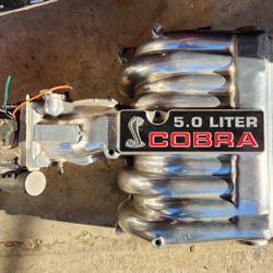 Ford Mustang 5.0L Cobra Intake Manifold 