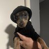 Chico