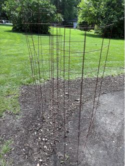 Tomato Cages