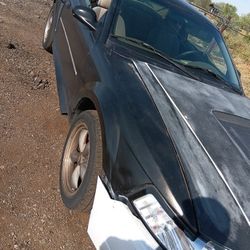 2002 Mustang 