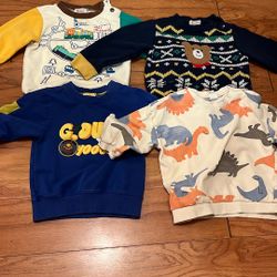 Toddler Boy 2T Long Sleeves Sweatshirt 