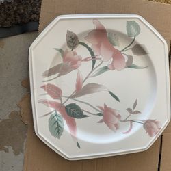  Plates  ( New) $3  Each
