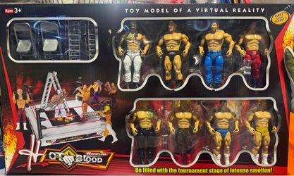 Wrestling set with ring