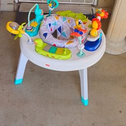 ** Fisher-Price 2-1 Sit And Stand Activity Center **