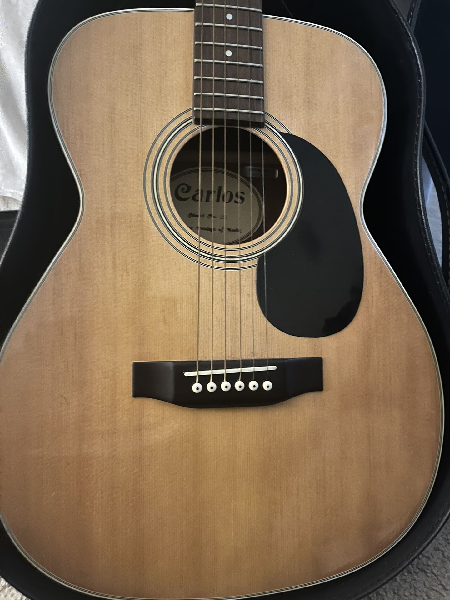 Acoustic Carlos Guitar Model 207