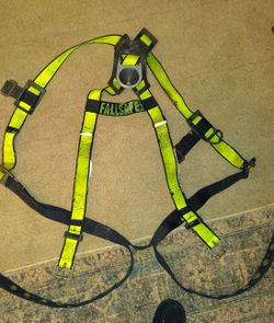 Fallsafe Harness