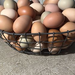 Fresh Eggs
