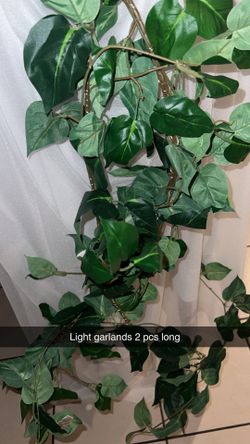 Green garland with lights