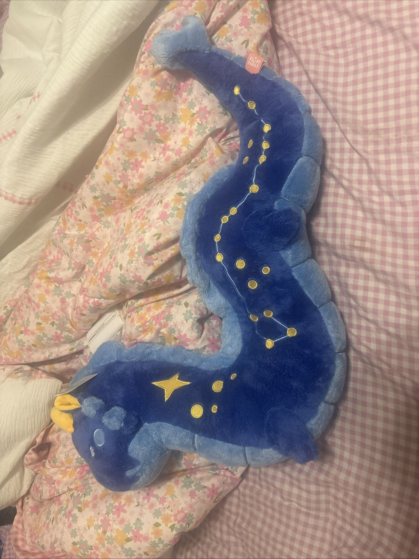 Tian Tian The Celestial Dragon