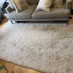 Ivory shag 5x8 rug