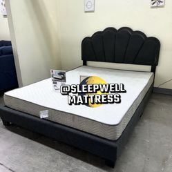 Queen Size Bed Frame Only 