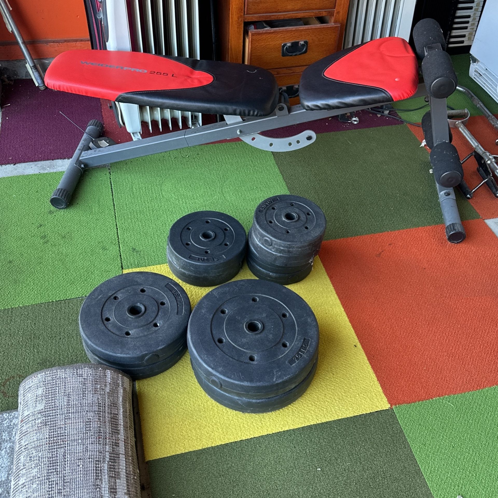 Gym Weights And Bench