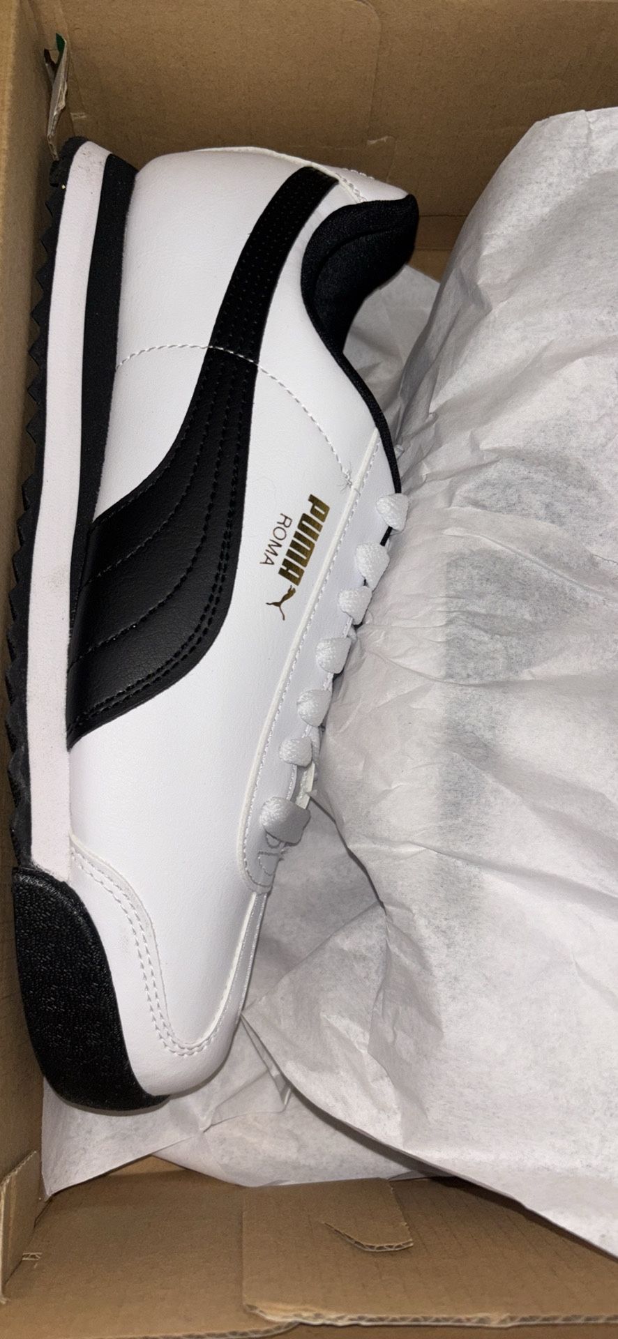 Men puma