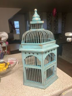 Bird Cage