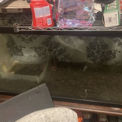 Large Reptile / Fish Tank